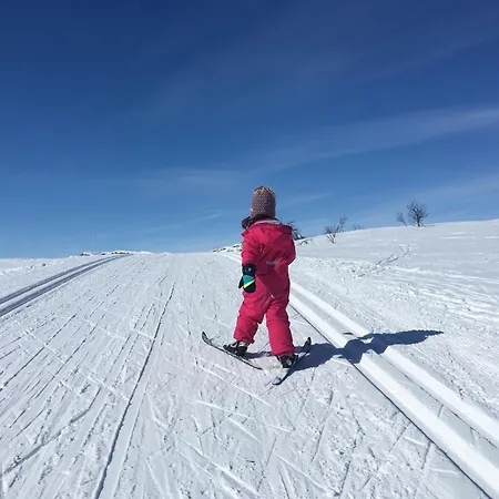 Perfect Base For Skiing And Local Events *
