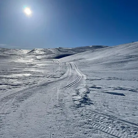 Perfect Base For Skiing And Local Events * Beitostolen