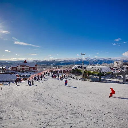 Perfect Base For Skiing And Local Events Holiday home *