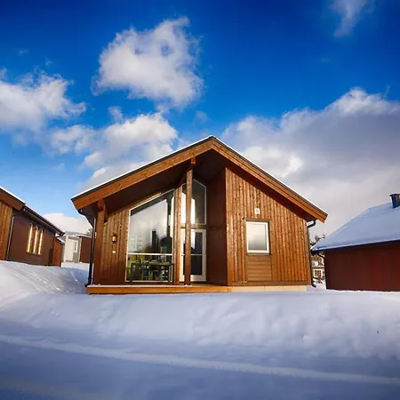 Perfect Base For Skiing And Local Events *