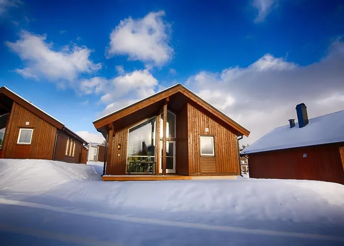 Perfect Base For Skiing And Local Events *